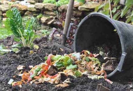 Trench Composting: Burying Kitchen Scraps in the Garden Image